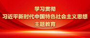 www操屄免费版天涯学习贯彻习近平新时代中国特色社会主义思想主题教育_fororder_ad-371X160(2)